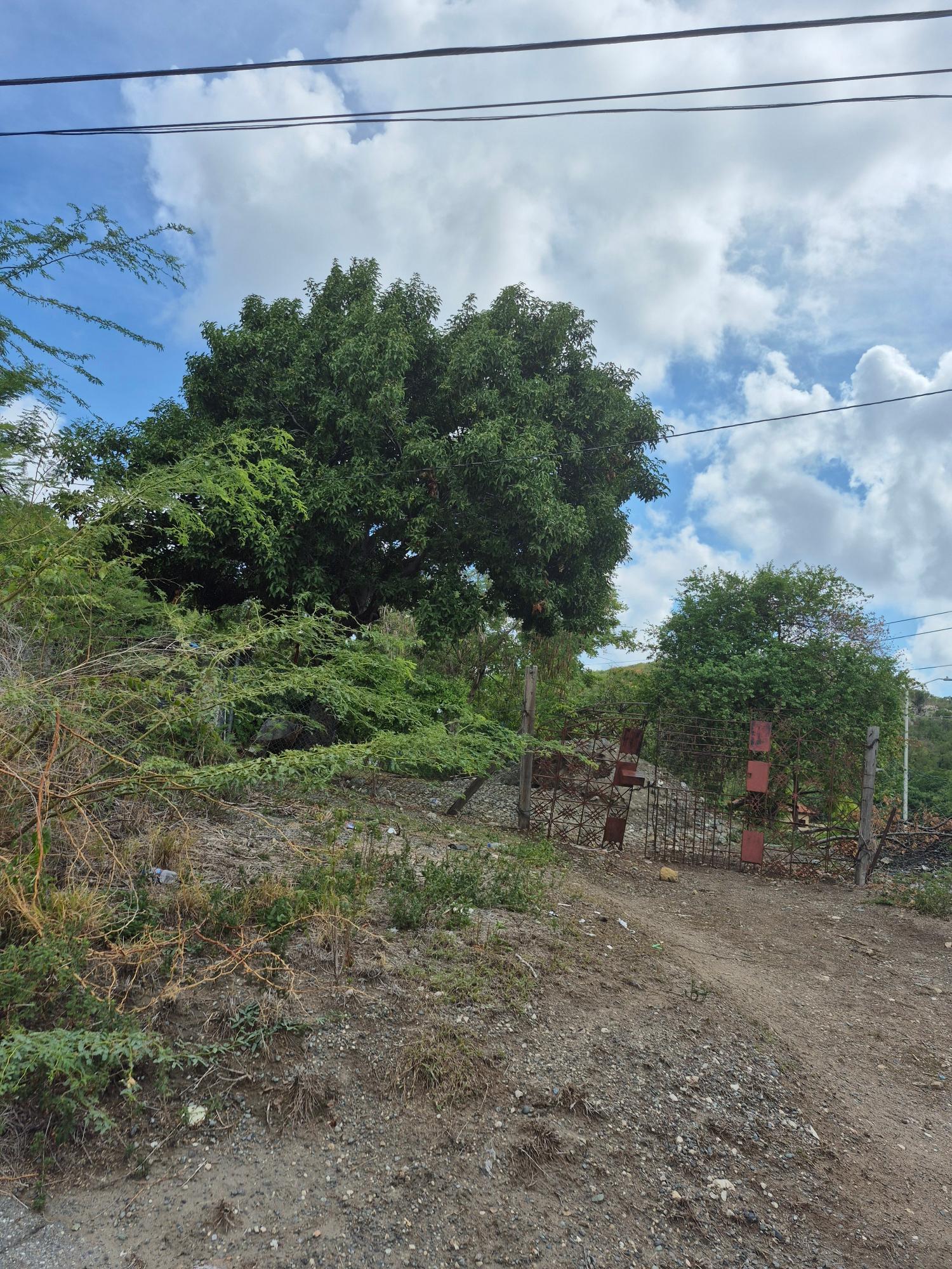 Third image of Block A-lot 185 Blue Mountain Road in Albion, St. Thomas, Jamaica - property is For Sale