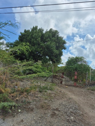 Third image of Block A-lot 185 Blue Mountain Road in Albion, St. Thomas, Jamaica - property is For Sale