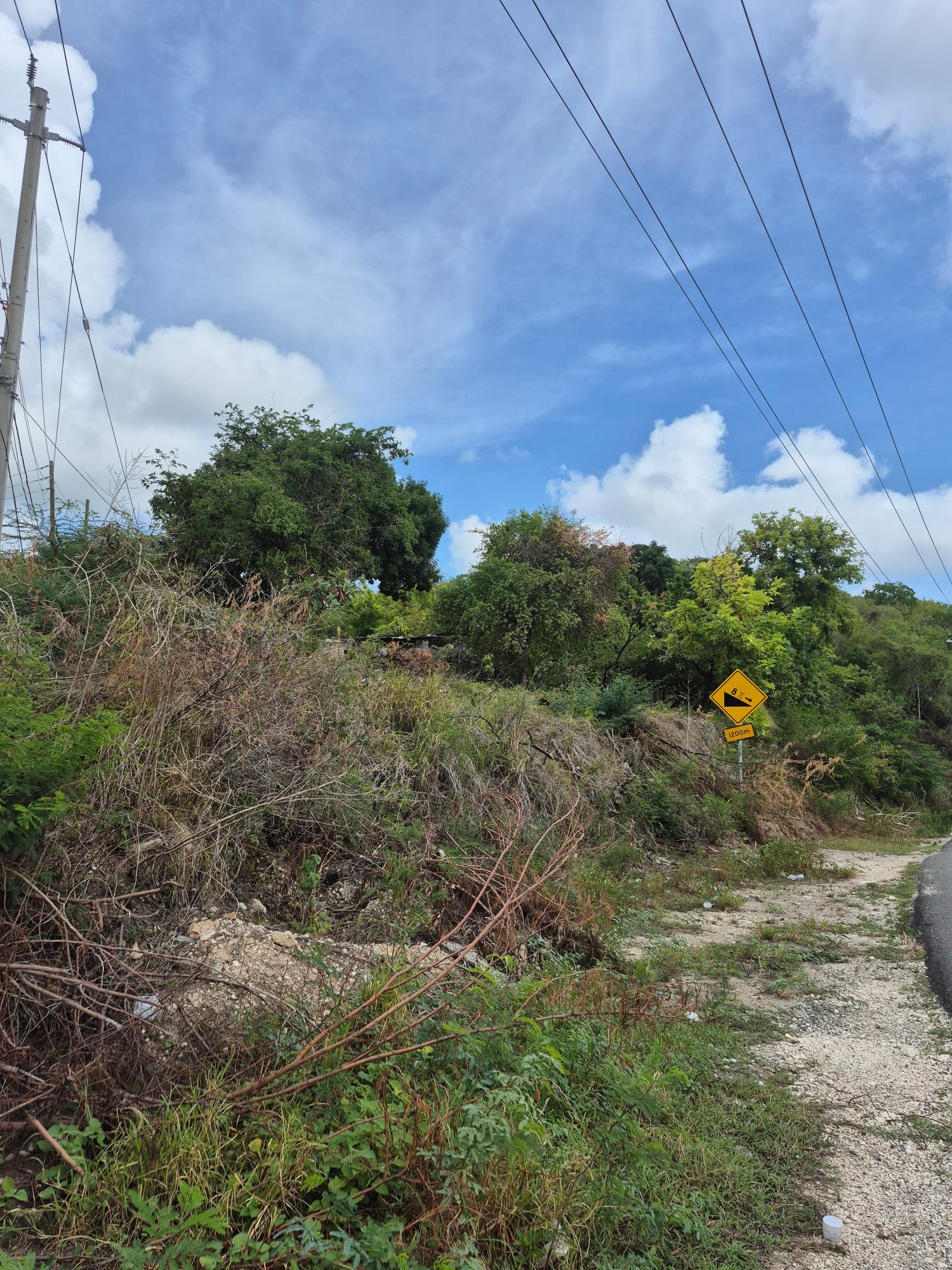 Fourth image of Block A-lot 185 Blue Mountain Road in Albion, St. Thomas, Jamaica - property is For Sale