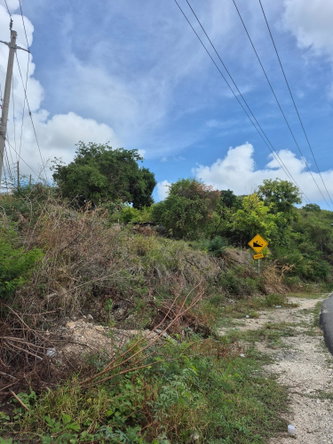 Fourth image of Block A-lot 185 Blue Mountain Road in Albion, St. Thomas, Jamaica - property is For Sale