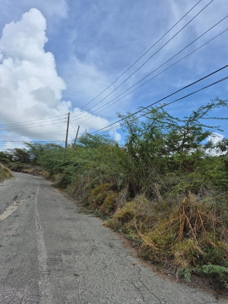 Fifth image of Block A-lot 185 Blue Mountain Road in Albion, St. Thomas, Jamaica - property is For Sale