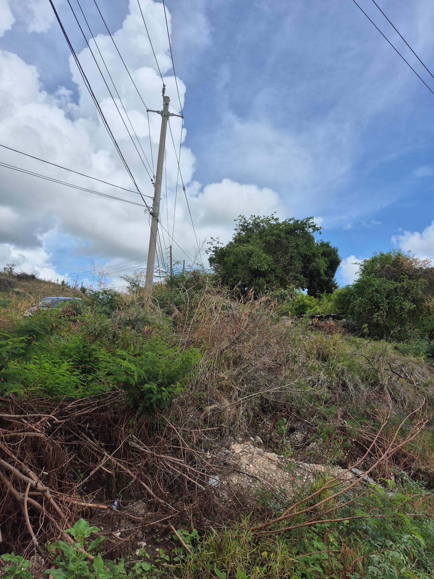 Sixth image of Block A-lot 185 Blue Mountain Road in Albion, St. Thomas, Jamaica - property is For Sale