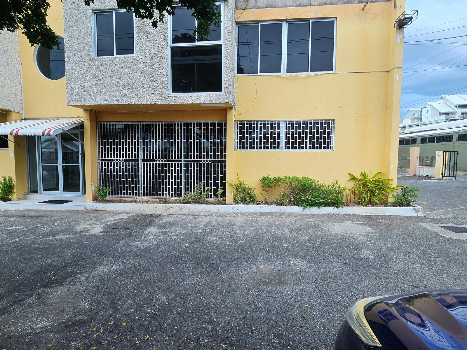 First image of 3- Lady Musgrave Road in Kingston 5, St. Andrew, Jamaica - property is For Rent