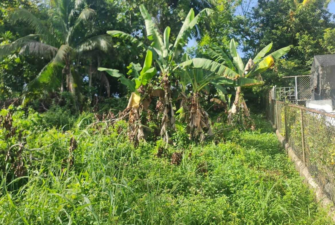 Second image of Lot 61 Upper Retreat in Santa Cruz, St. Elizabeth, Jamaica - property is For Sale