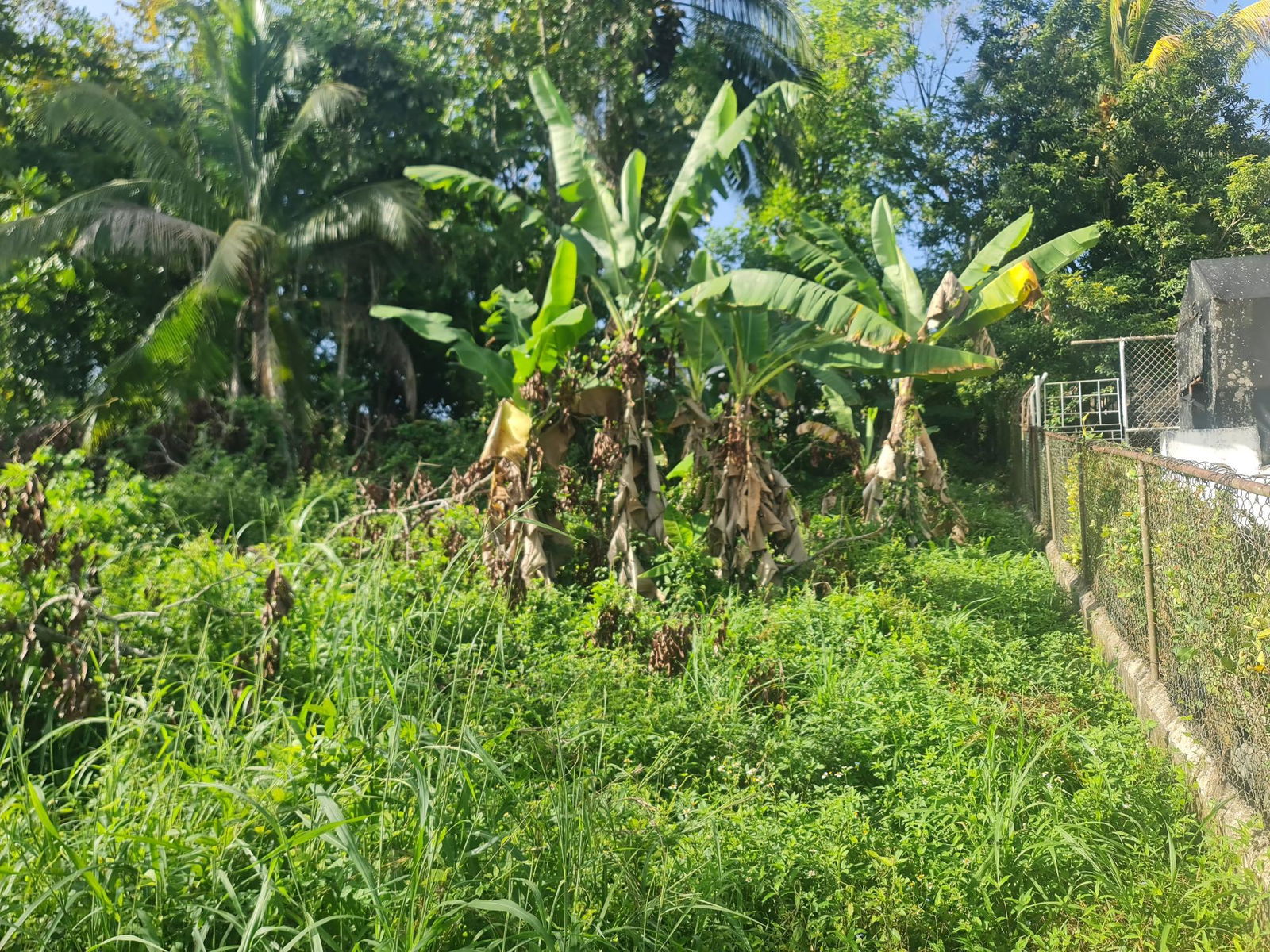 Second image of Lot 61 Upper Retreat in Santa Cruz, St. Elizabeth, Jamaica - property is For Sale