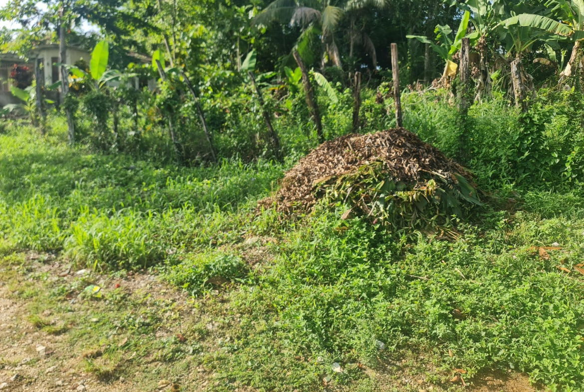 First image of Lot 61 Upper Retreat in Santa Cruz, St. Elizabeth, Jamaica - property is For Sale