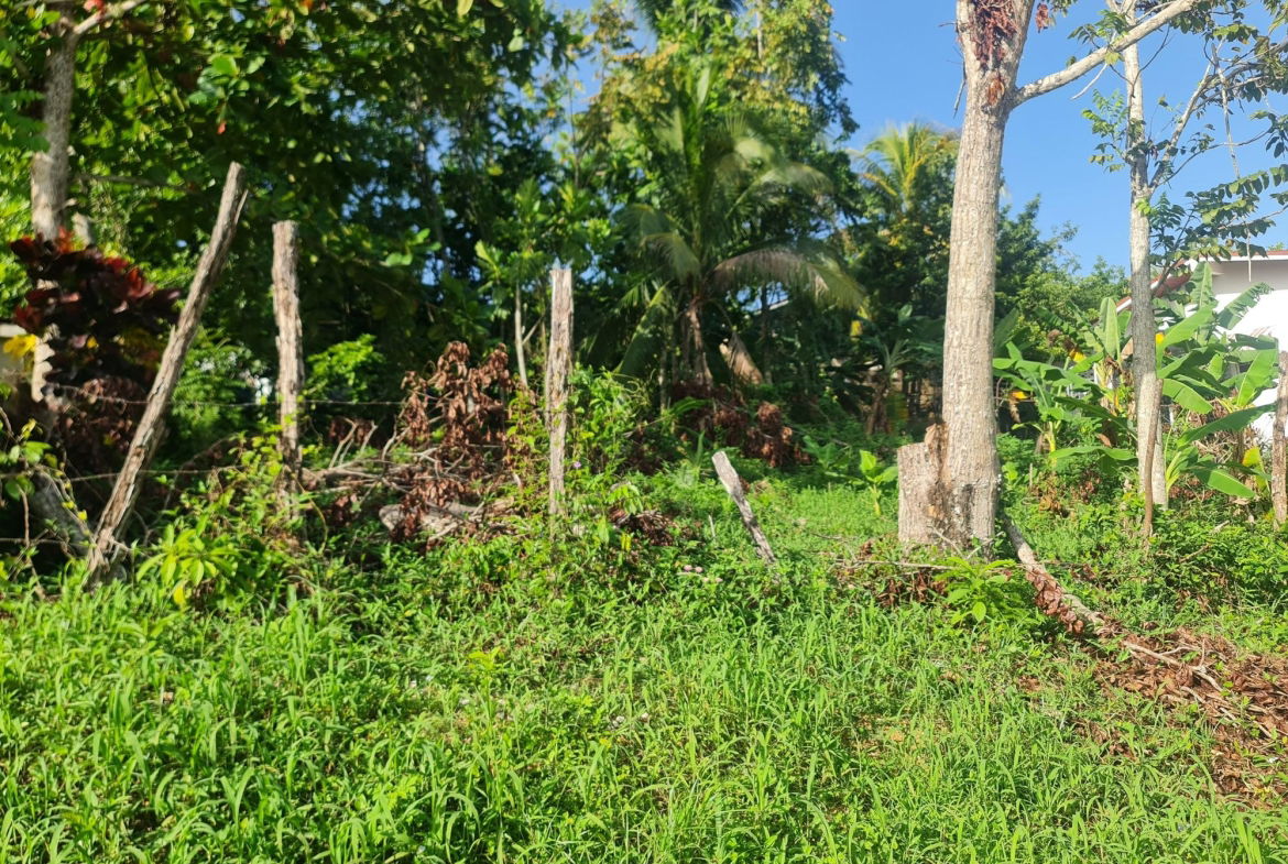 Third image of Lot 61 Upper Retreat in Santa Cruz, St. Elizabeth, Jamaica - property is For Sale