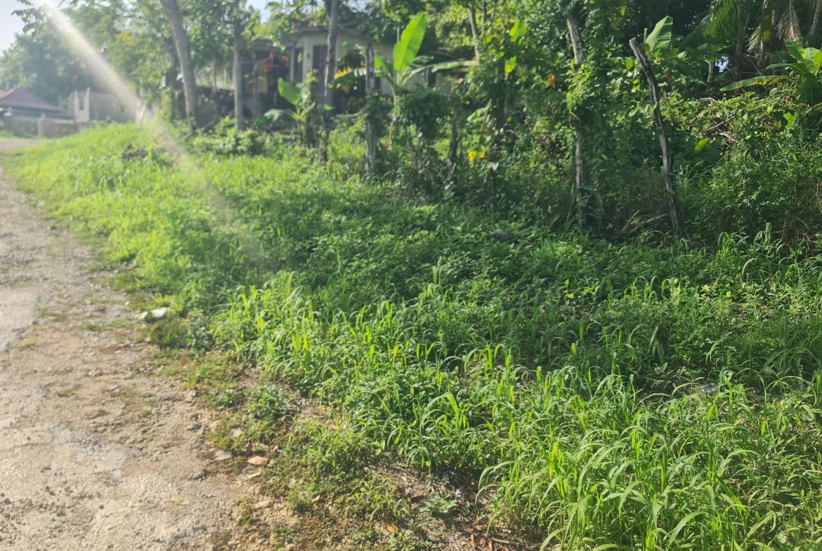 Fourth image of Lot 61 Upper Retreat in Santa Cruz, St. Elizabeth, Jamaica - property is For Sale