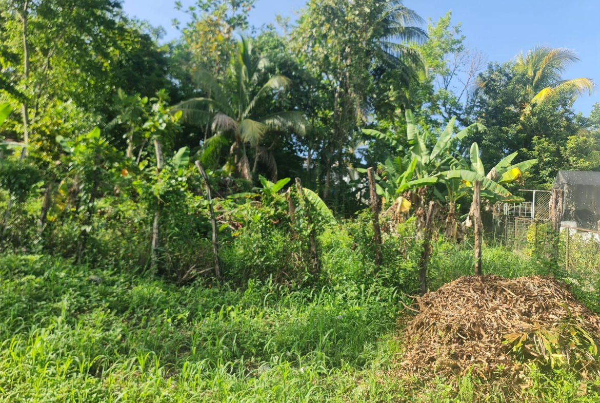 Fifth image of Lot 61 Upper Retreat in Santa Cruz, St. Elizabeth, Jamaica - property is For Sale