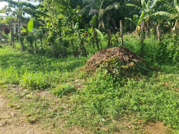 First image of Lot 61 Upper Retreat in Santa Cruz, St. Elizabeth, Jamaica - property is For Sale