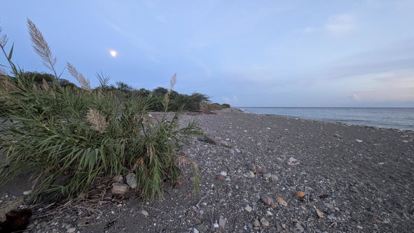 Twelfth image of 756 Albion Estate, Albion Bou in Albion, St. Thomas, Jamaica - property is For Sale