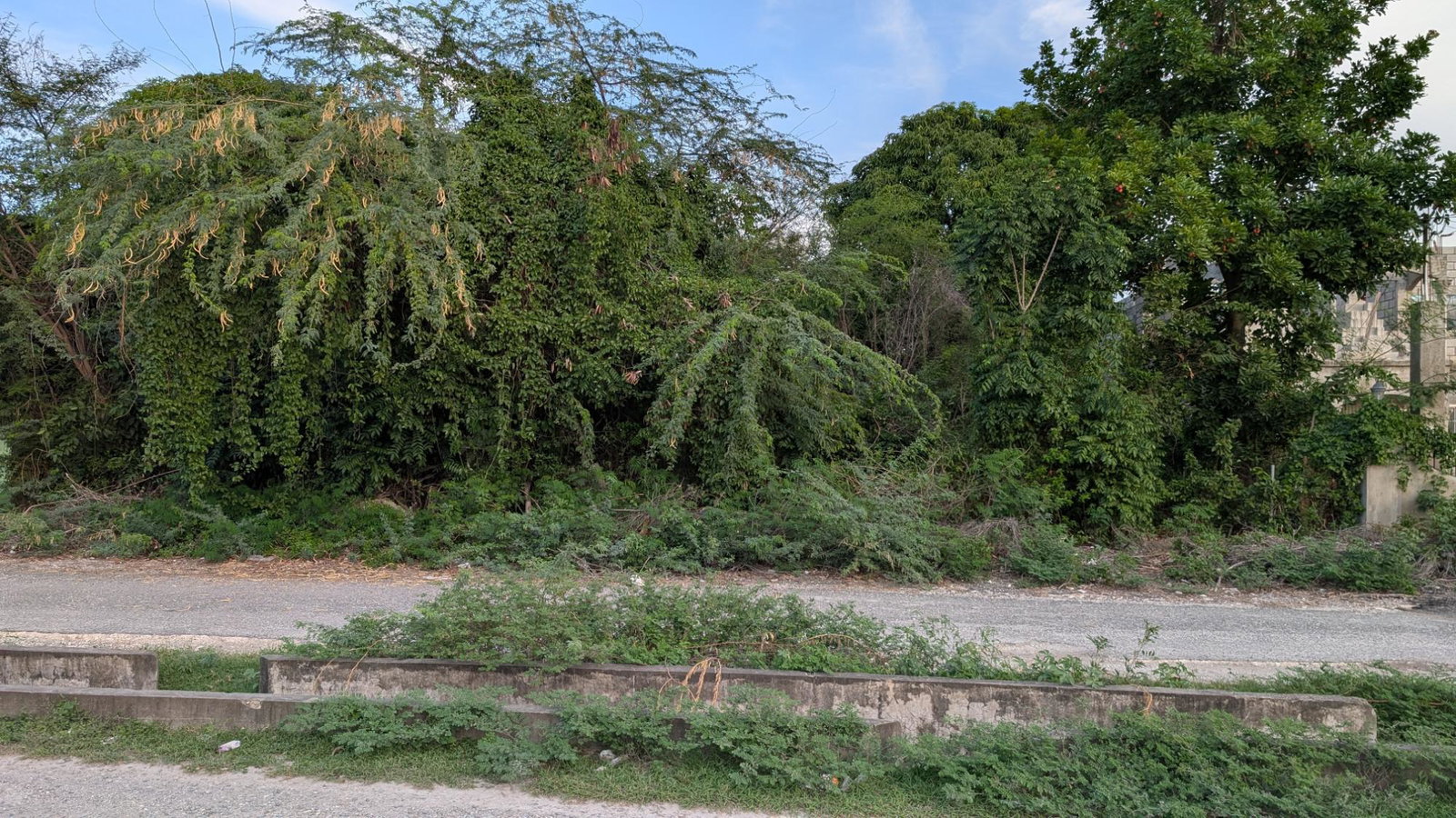 Eighth image of 756 Albion Estate, Albion Bou in Albion, St. Thomas, Jamaica - property is For Sale