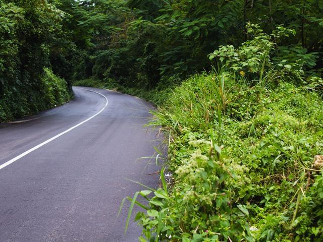 Fourth image of Land Part of Cheltenham in Santa Cruz, St. Elizabeth, Jamaica - property is For Sale