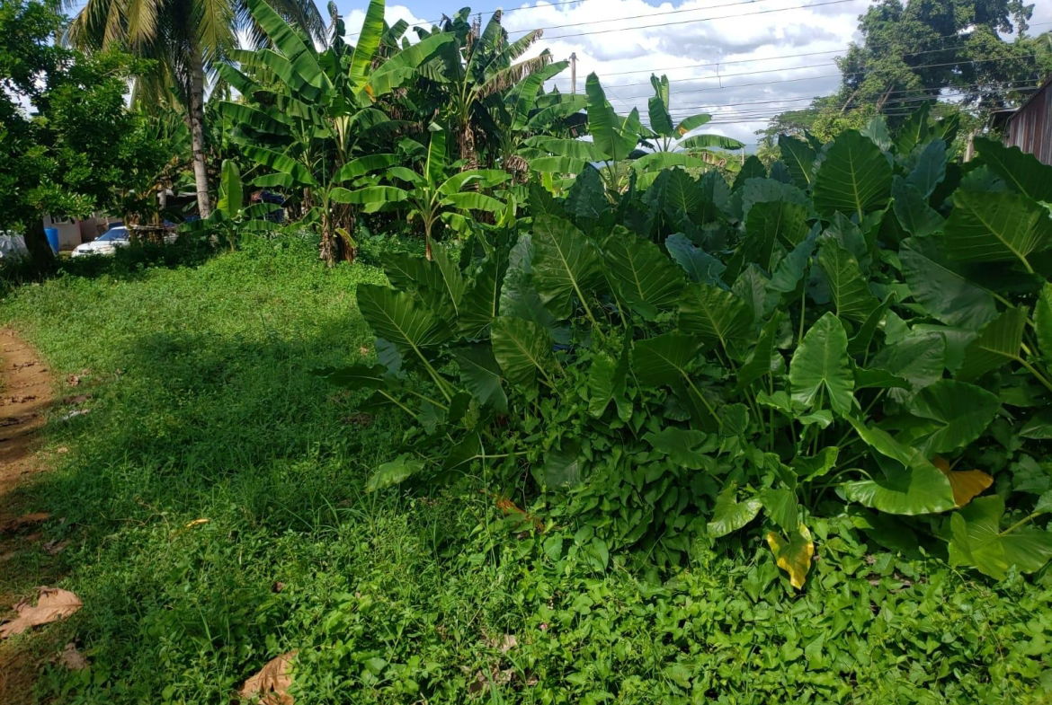Second image of Land Part of Santa Cruz in Santa Cruz, St. Elizabeth, Jamaica - property is For Sale
