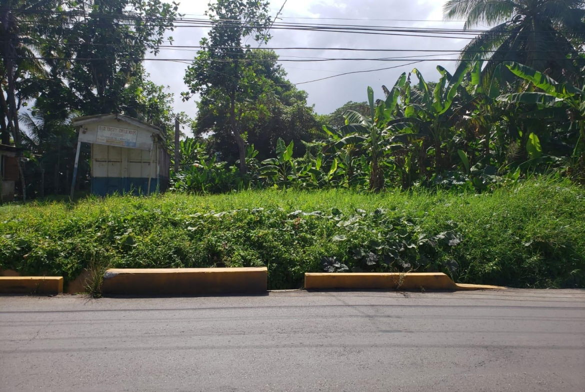 First image of Land Part of Santa Cruz in Santa Cruz, St. Elizabeth, Jamaica - property is For Sale