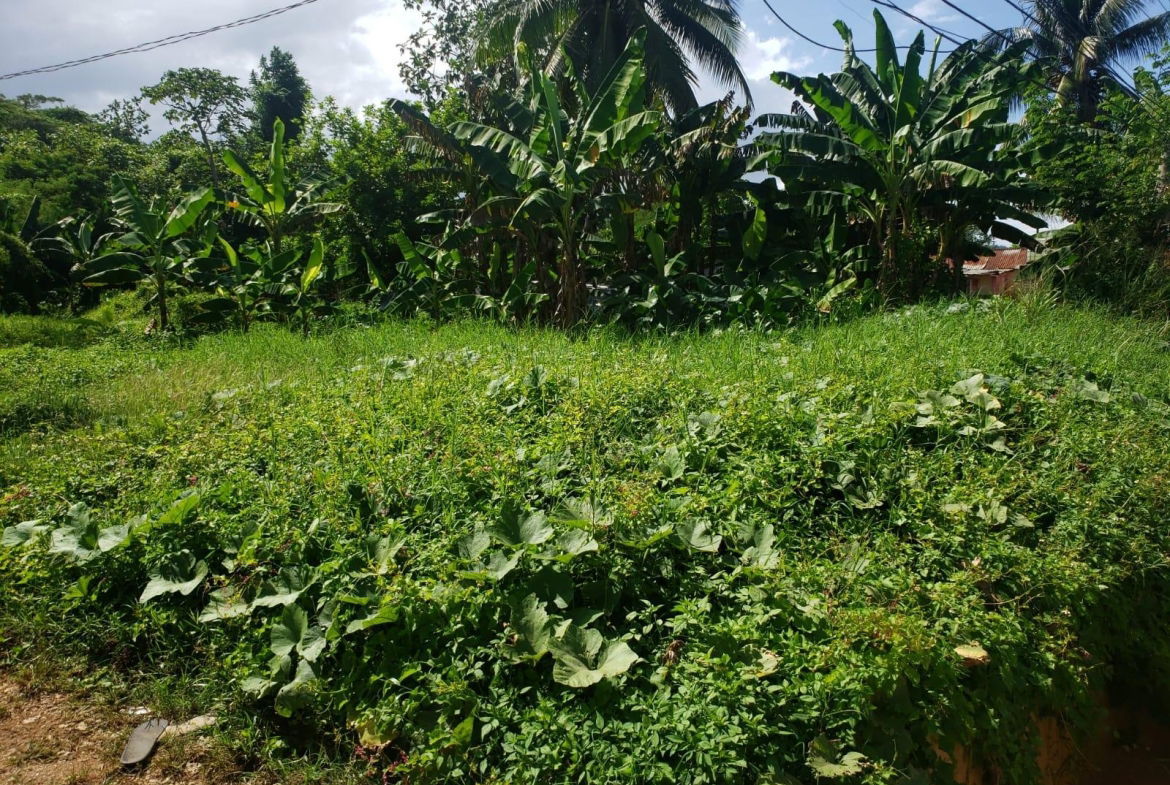 Third image of Land Part of Santa Cruz in Santa Cruz, St. Elizabeth, Jamaica - property is For Sale