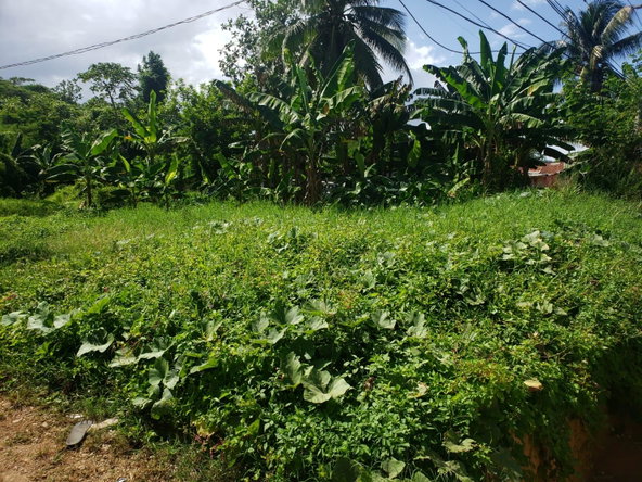 Third image of Land Part of Santa Cruz in Santa Cruz, St. Elizabeth, Jamaica - property is For Sale