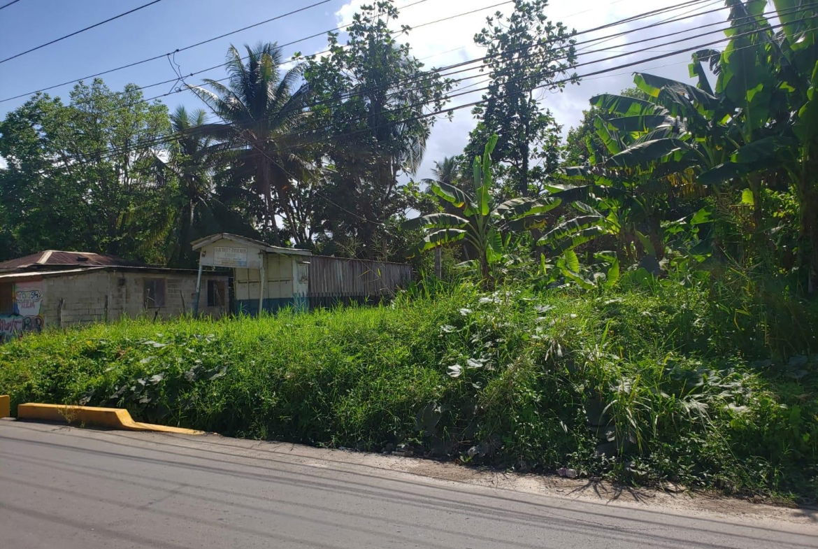 Fourth image of Land Part of Santa Cruz in Santa Cruz, St. Elizabeth, Jamaica - property is For Sale
