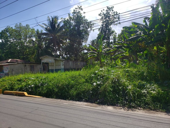 Fourth image of Land Part of Santa Cruz in Santa Cruz, St. Elizabeth, Jamaica - property is For Sale