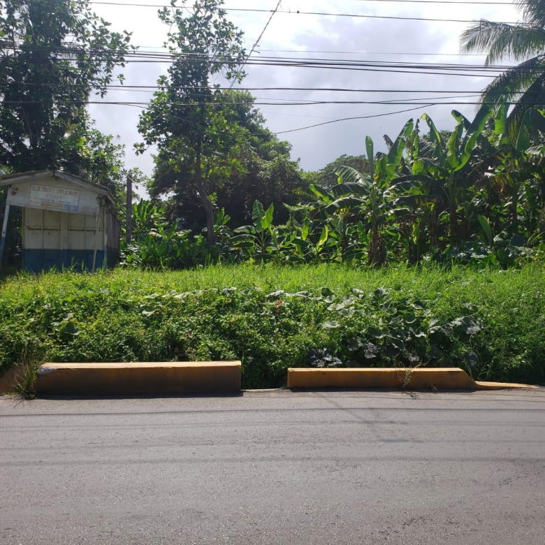 First image of Land Part of Santa Cruz in Santa Cruz, St. Elizabeth, Jamaica - property is For Sale