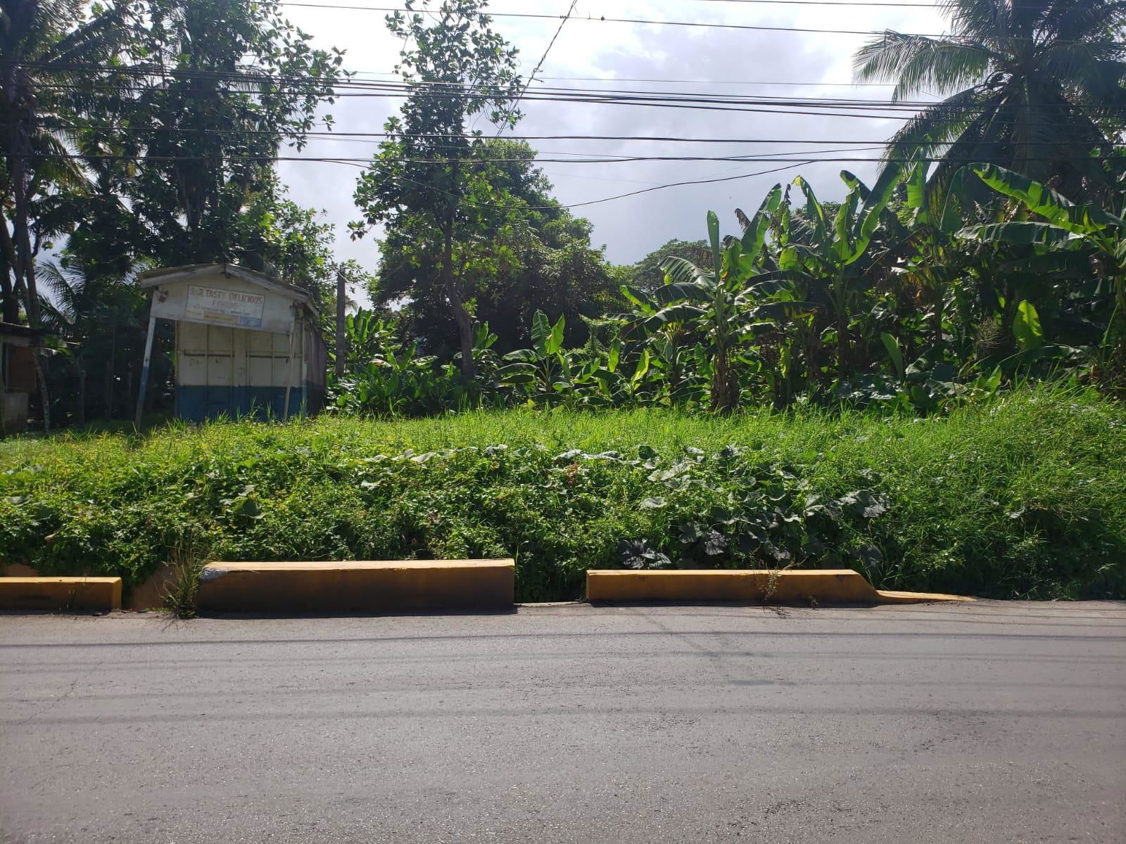 First image of Land Part of Santa Cruz in Santa Cruz, St. Elizabeth, Jamaica - property is For Sale