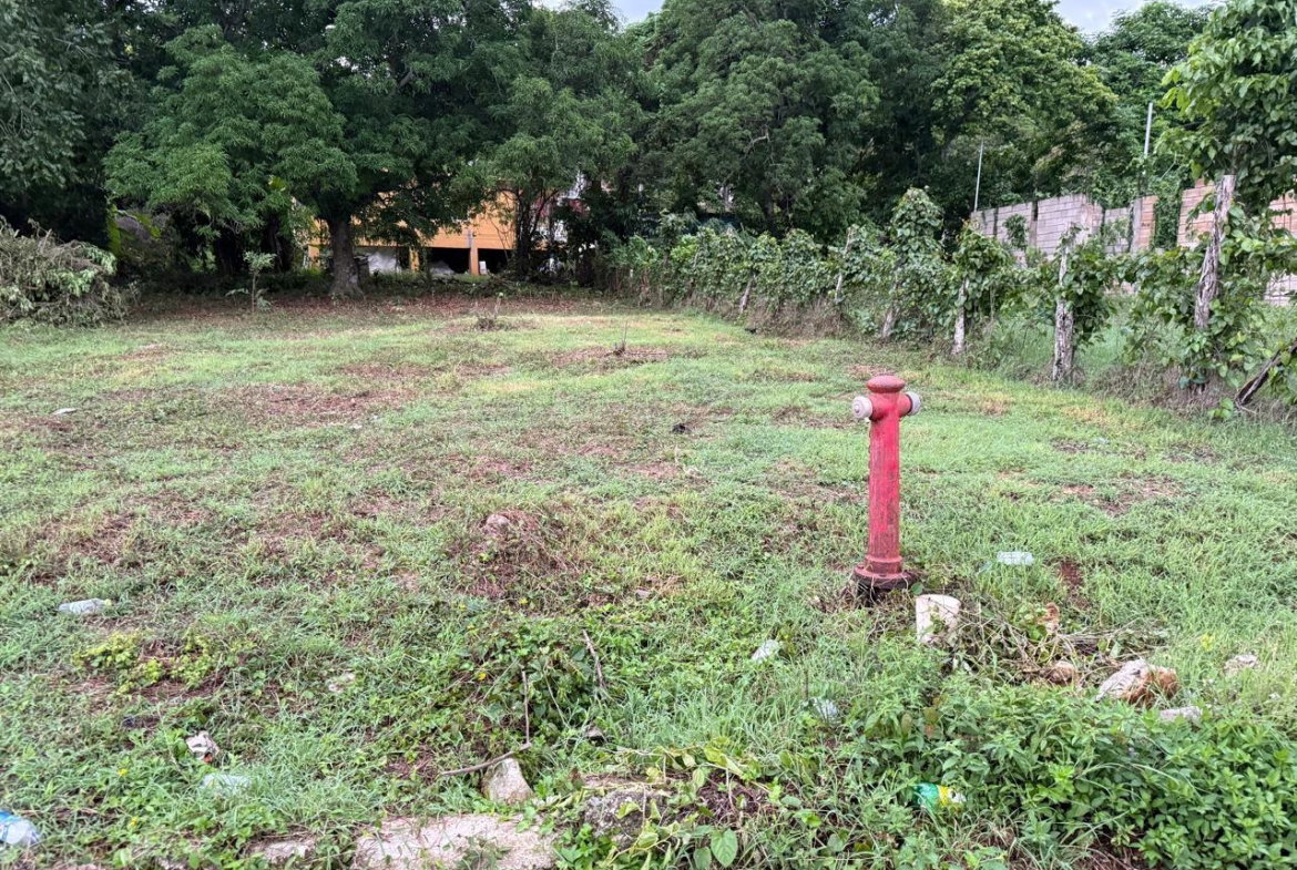 Third image of Lot 6 Bridgett Close & Spring v in Spring Valley, St. Mary, Jamaica - property is For Sale