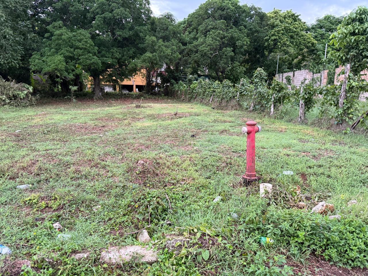 Third image of Lot 6 Bridgett Close & Spring v in Spring Valley, St. Mary, Jamaica - property is For Sale