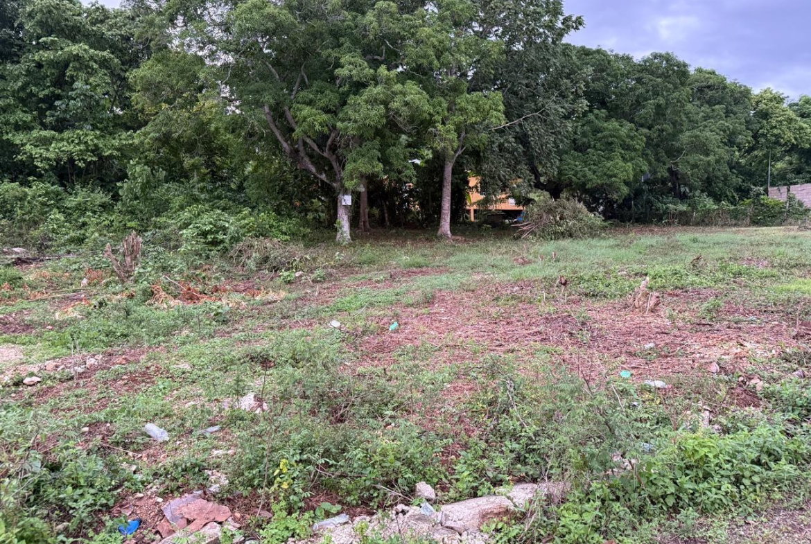 Fourth image of Lot 6 Bridgett Close & Spring v in Spring Valley, St. Mary, Jamaica - property is For Sale