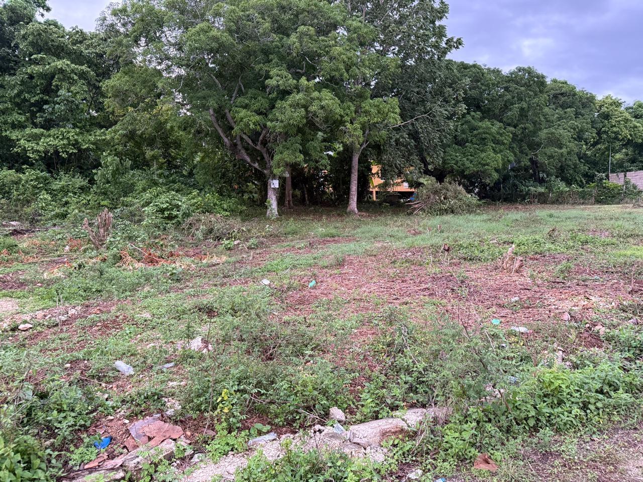 Fourth image of Lot 6 Bridgett Close & Spring v in Spring Valley, St. Mary, Jamaica - property is For Sale