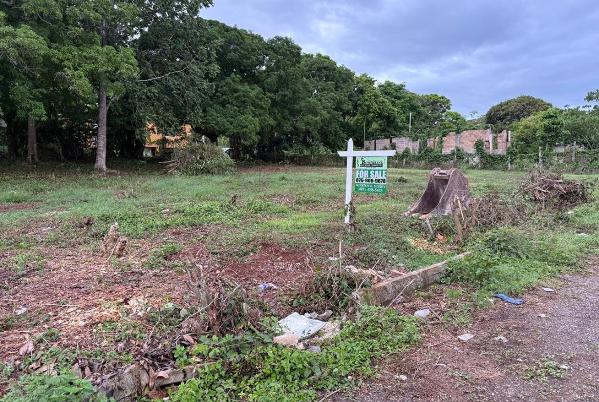 Sixth image of Lot 6 Bridgett Close & Spring v in Spring Valley, St. Mary, Jamaica - property is For Sale