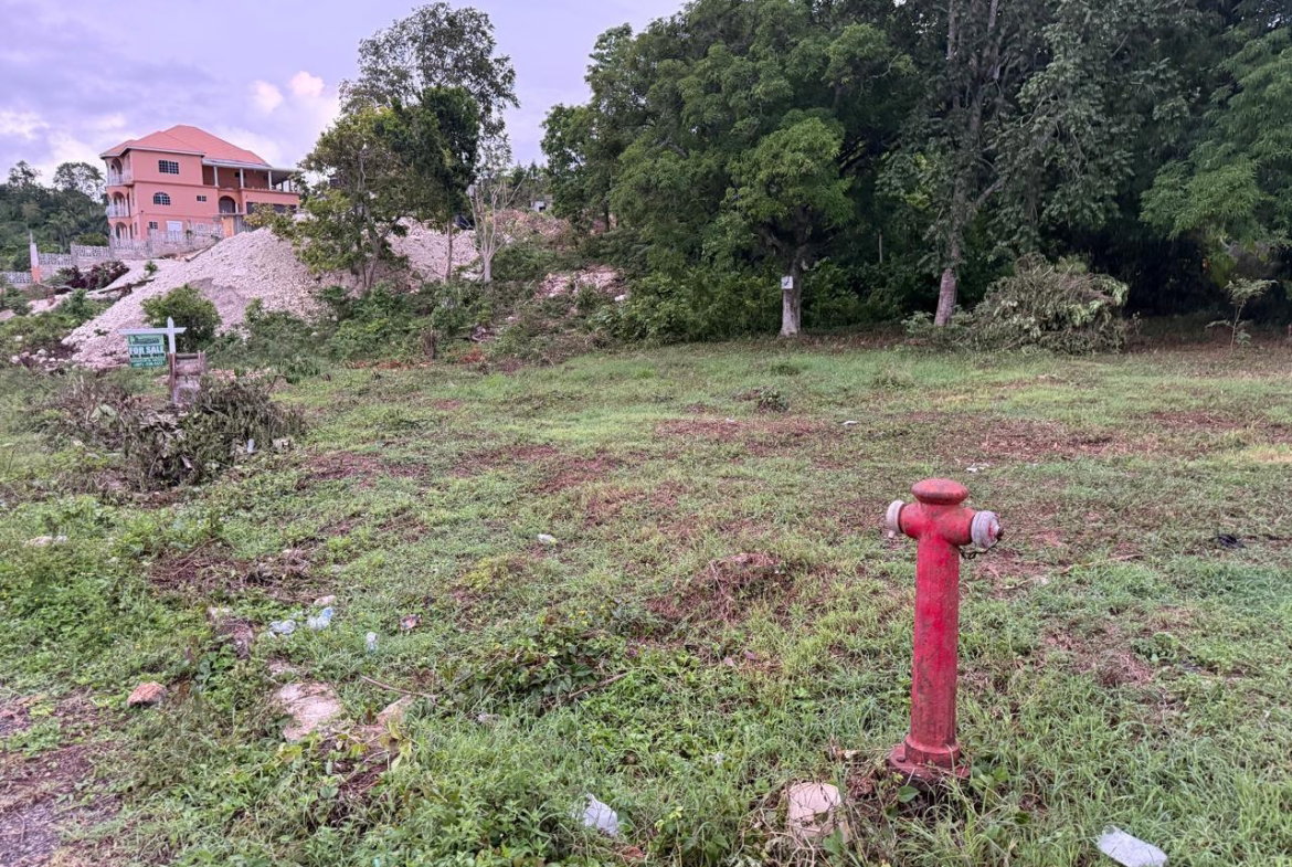 Eighth image of Lot 6 Bridgett Close & Spring v in Spring Valley, St. Mary, Jamaica - property is For Sale