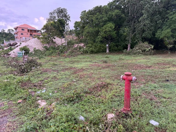 Eighth image of Lot 6 Bridgett Close & Spring v in Spring Valley, St. Mary, Jamaica - property is For Sale