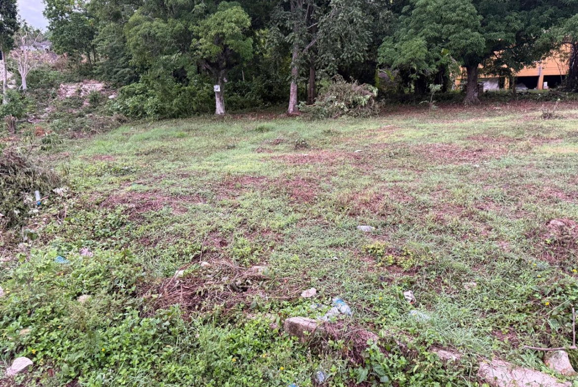 Ninth image of Lot 6 Bridgett Close & Spring v in Spring Valley, St. Mary, Jamaica - property is For Sale