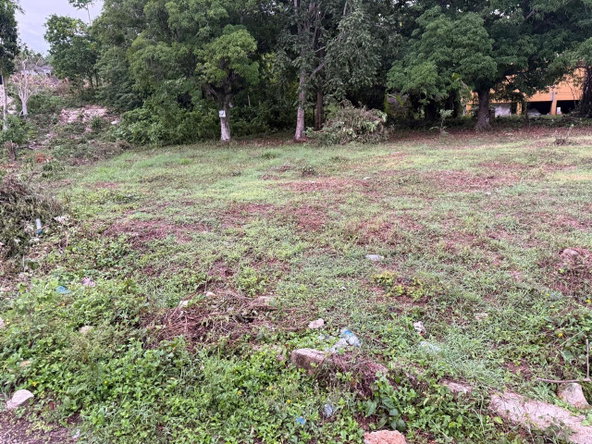 Ninth image of Lot 6 Bridgett Close & Spring v in Spring Valley, St. Mary, Jamaica - property is For Sale