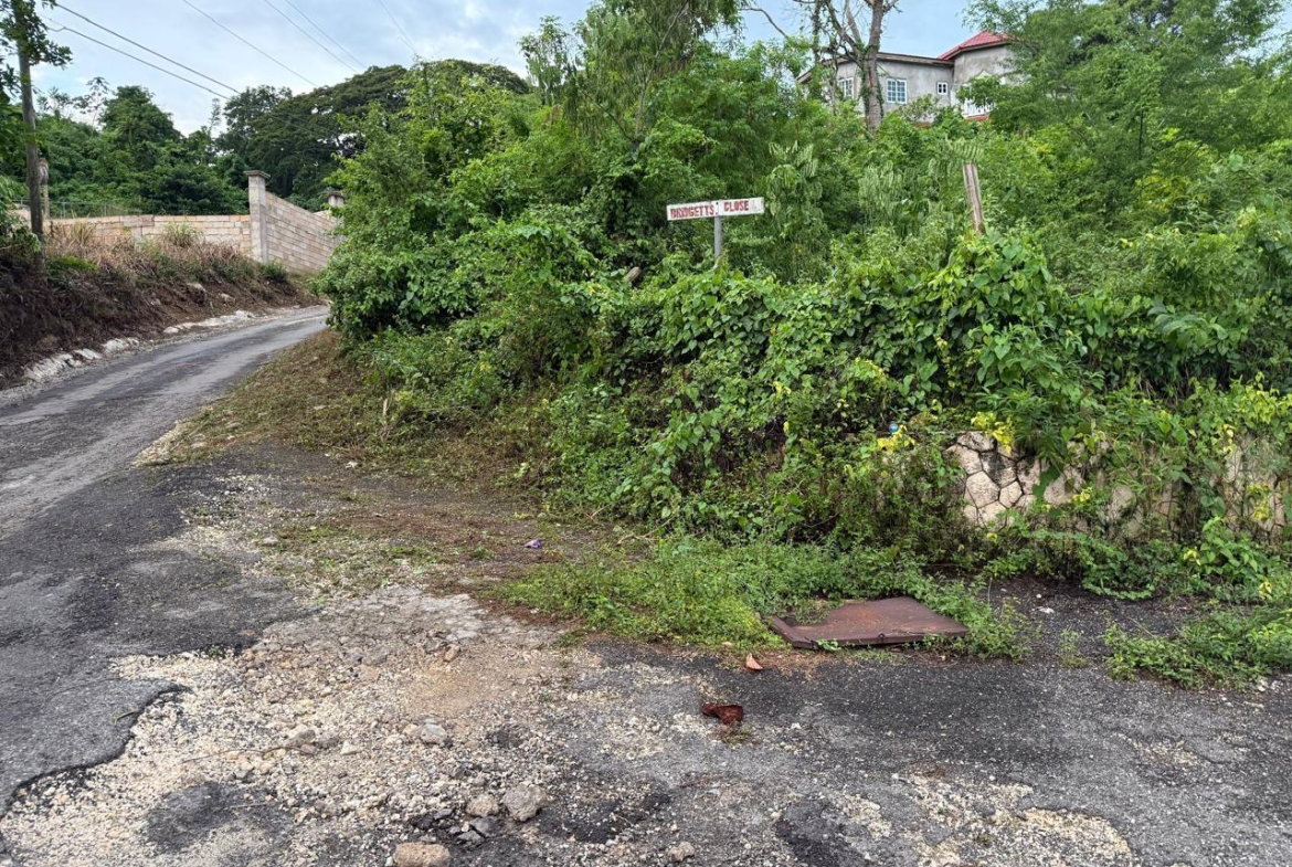 Tenth image of Lot 6 Bridgett Close & Spring v in Spring Valley, St. Mary, Jamaica - property is For Sale