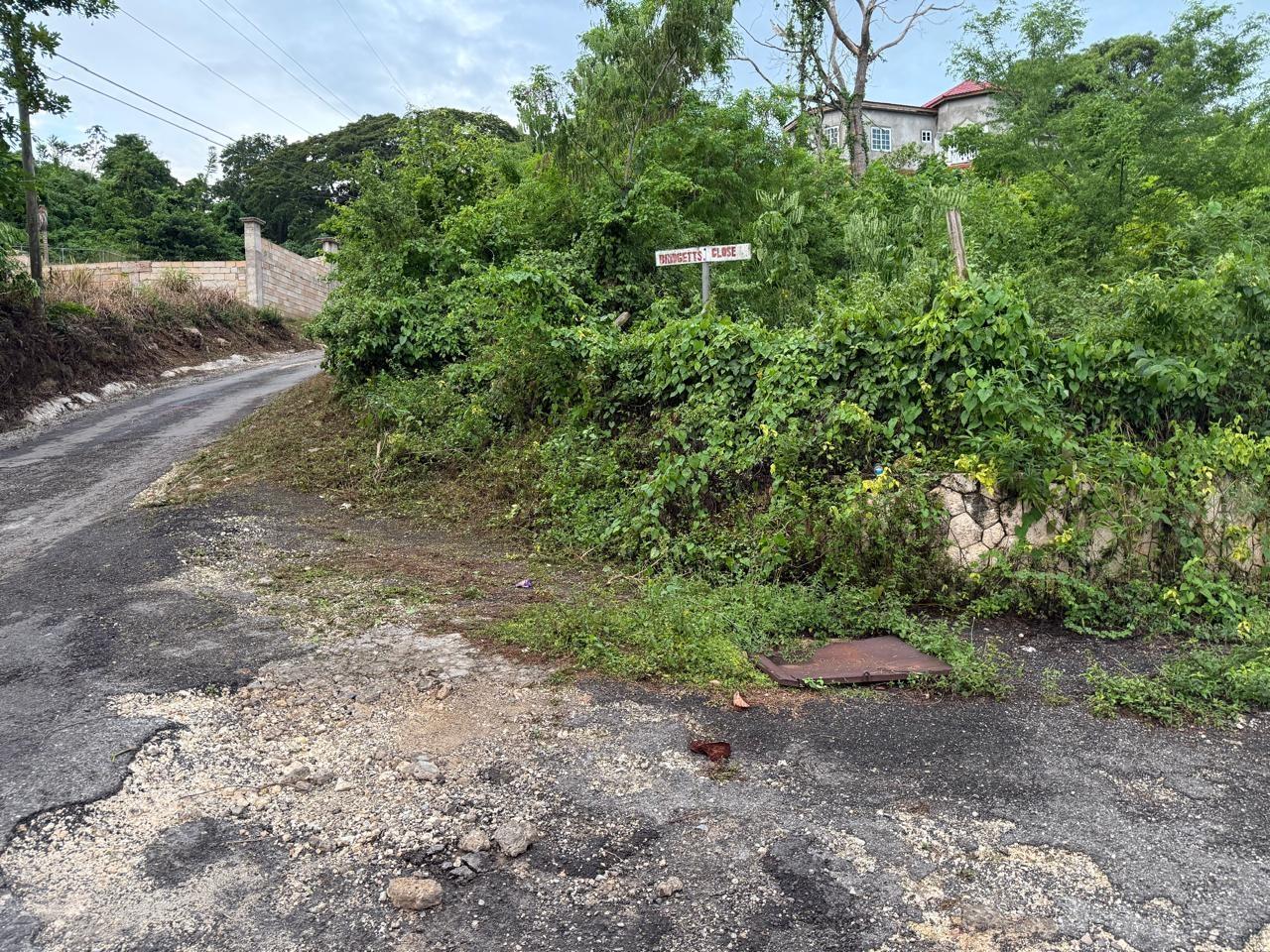 Tenth image of Lot 6 Bridgett Close & Spring v in Spring Valley, St. Mary, Jamaica - property is For Sale