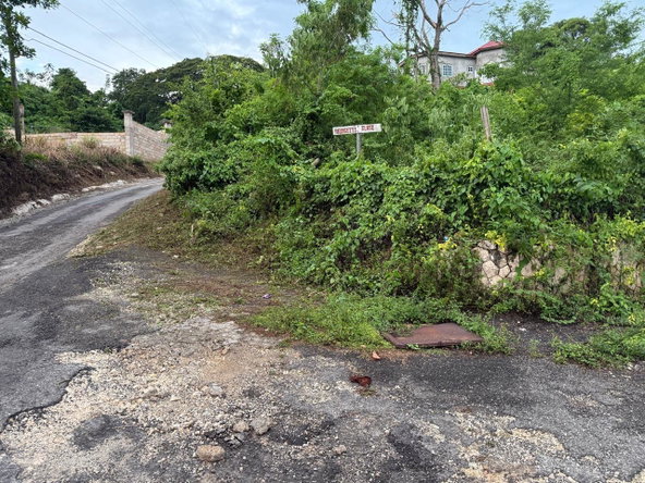 Tenth image of Lot 6 Bridgett Close & Spring v in Spring Valley, St. Mary, Jamaica - property is For Sale