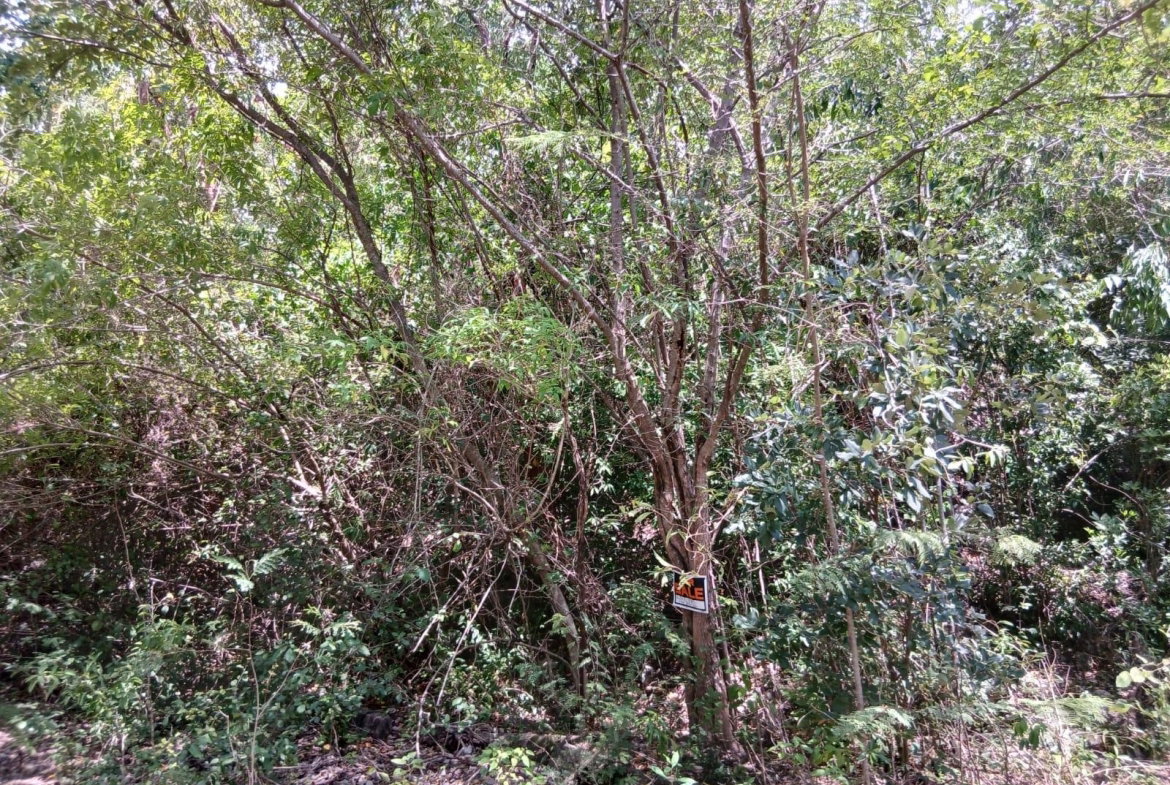 Second image of Block C-lot 52c Albion Heights Boulevard in Albion, St. Thomas, Jamaica - property is For Sale