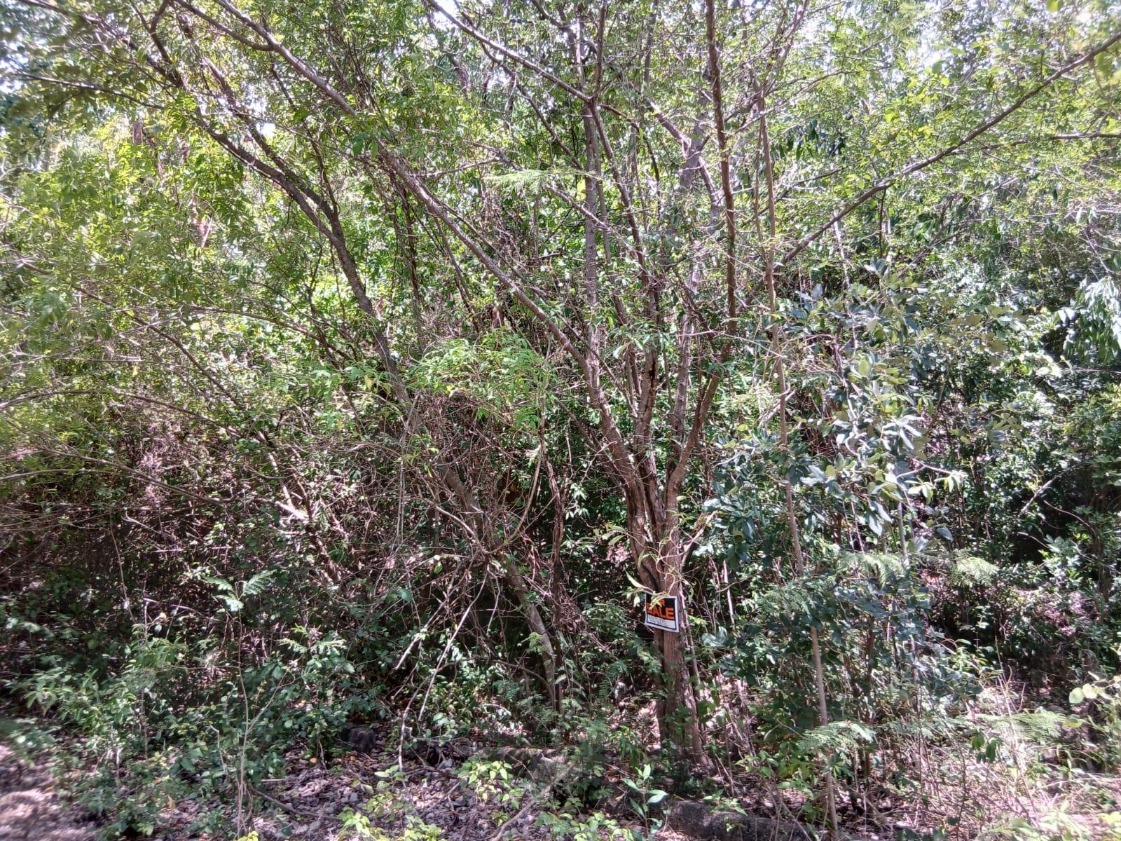 Second image of Block C-lot 52c Albion Heights Boulevard in Albion, St. Thomas, Jamaica - property is For Sale