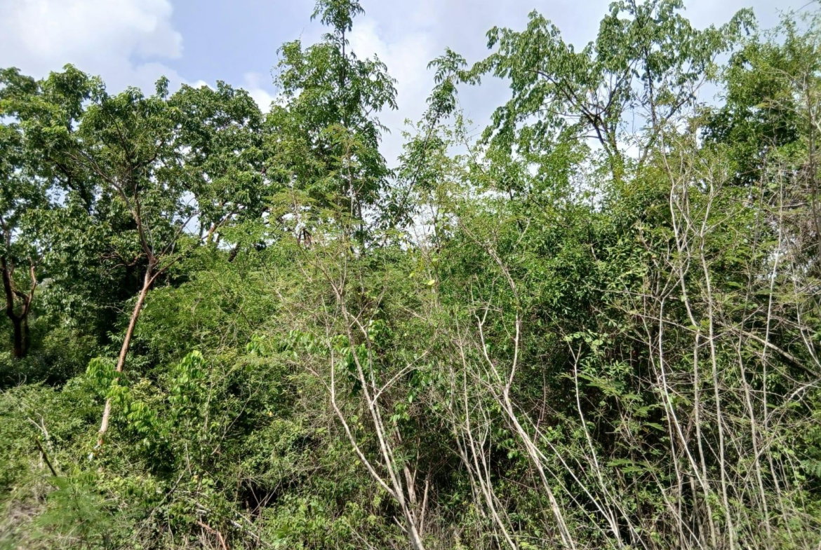Third image of Block C-lot 52c Albion Heights Boulevard in Albion, St. Thomas, Jamaica - property is For Sale