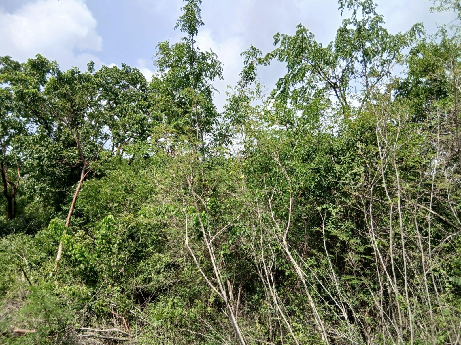 Third image of Block C-lot 52c Albion Heights Boulevard in Albion, St. Thomas, Jamaica - property is For Sale