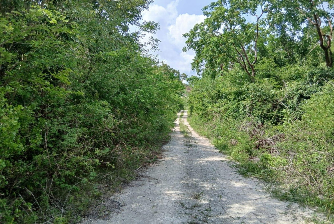 Fourth image of Block C-lot 52c Albion Heights Boulevard in Albion, St. Thomas, Jamaica - property is For Sale