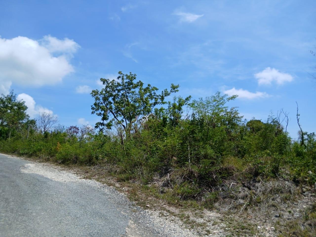 Fourth image of Block A-lot 126 Blue Mountain Road in Albion, St. Thomas, Jamaica - property is For Sale