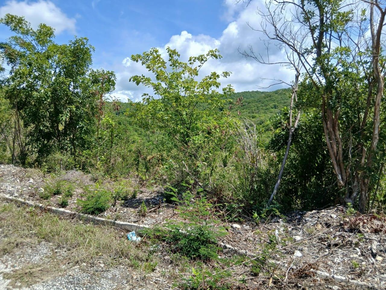 Second image of Block A-lot 125 Blue Mountain Road in Albion, St. Thomas, Jamaica - property is For Sale