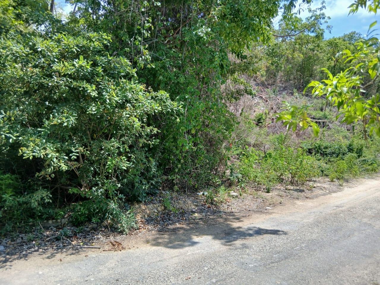 Third image of Block A-lot 125 Blue Mountain Road in Albion, St. Thomas, Jamaica - property is For Sale