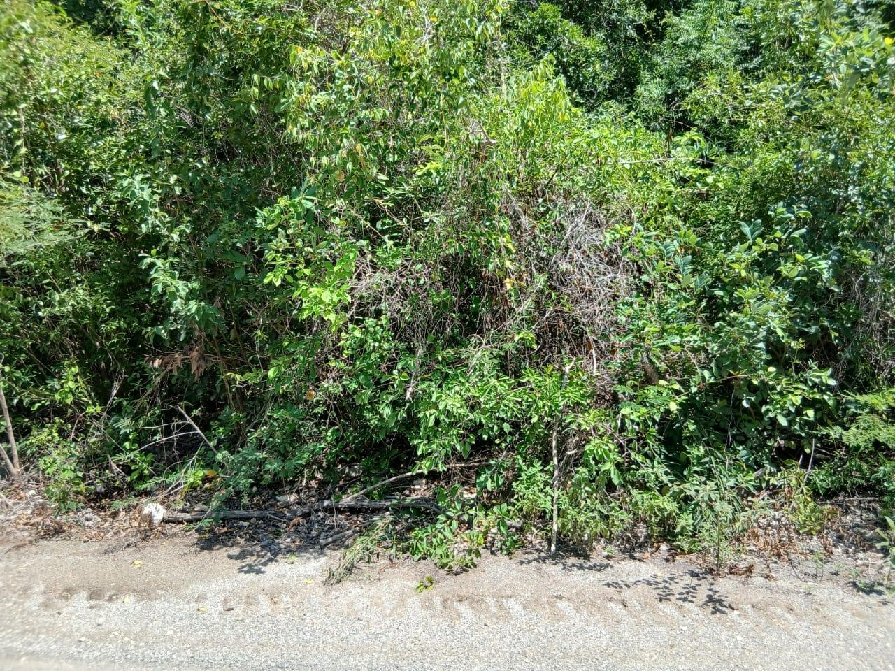 Fourth image of Block A-lot 125 Blue Mountain Road in Albion, St. Thomas, Jamaica - property is For Sale