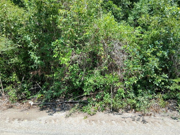 Fourth image of Block A-lot 125 Blue Mountain Road in Albion, St. Thomas, Jamaica - property is For Sale