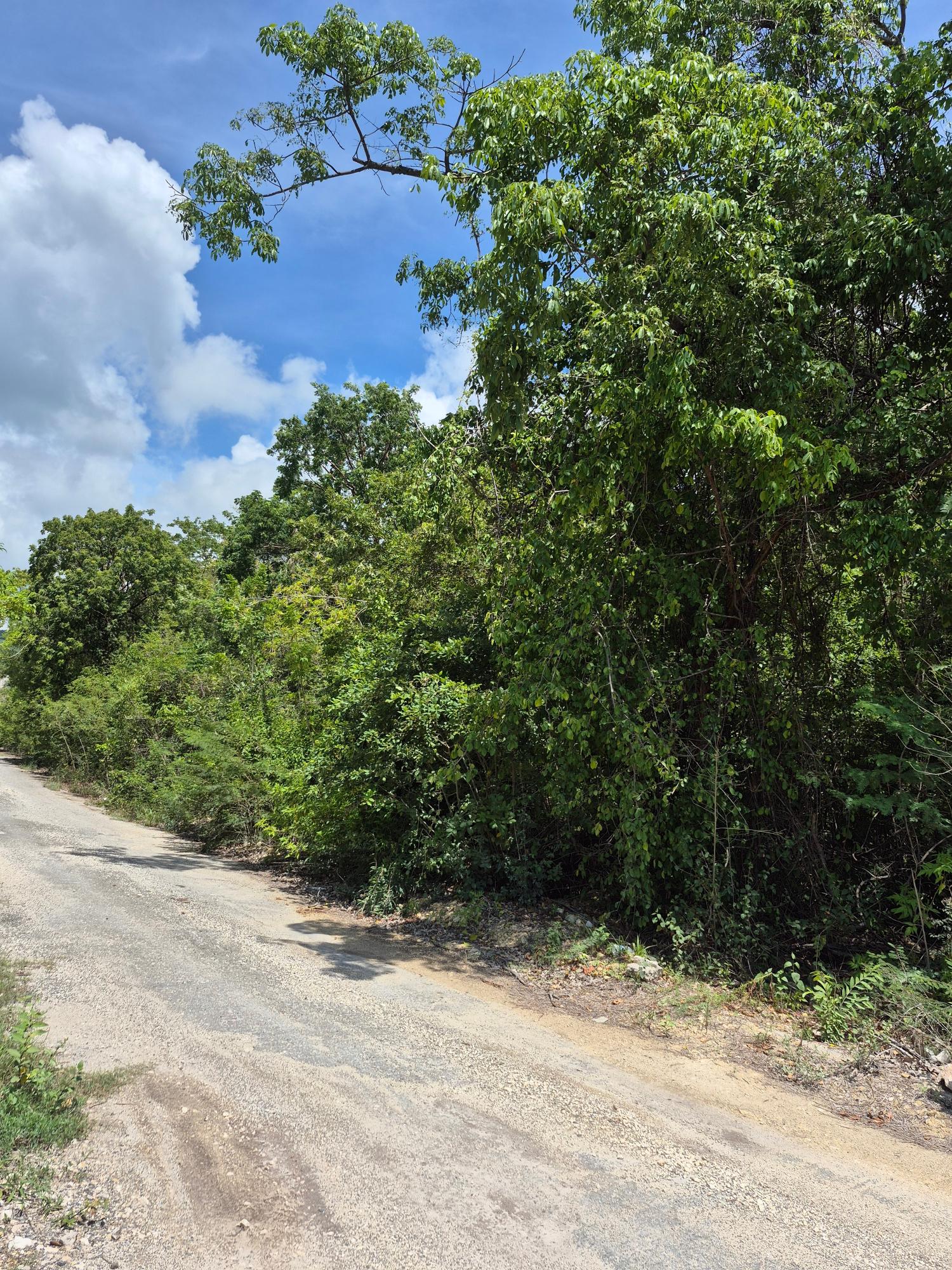 Third image of Block C-lot 68 c Alpine Way in Albion, St. Thomas, Jamaica - property is For Sale
