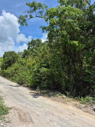 Third image of Block C-lot 68 c Alpine Way in Albion, St. Thomas, Jamaica - property is For Sale