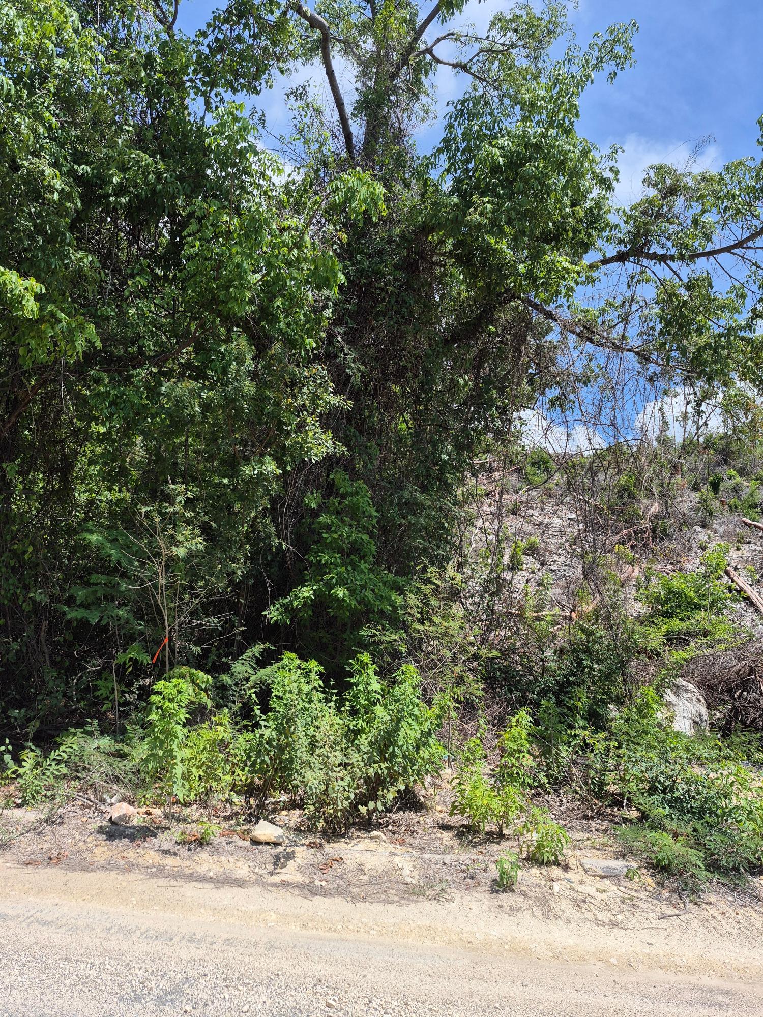 Fourth image of Block C-lot 68 c Alpine Way in Albion, St. Thomas, Jamaica - property is For Sale